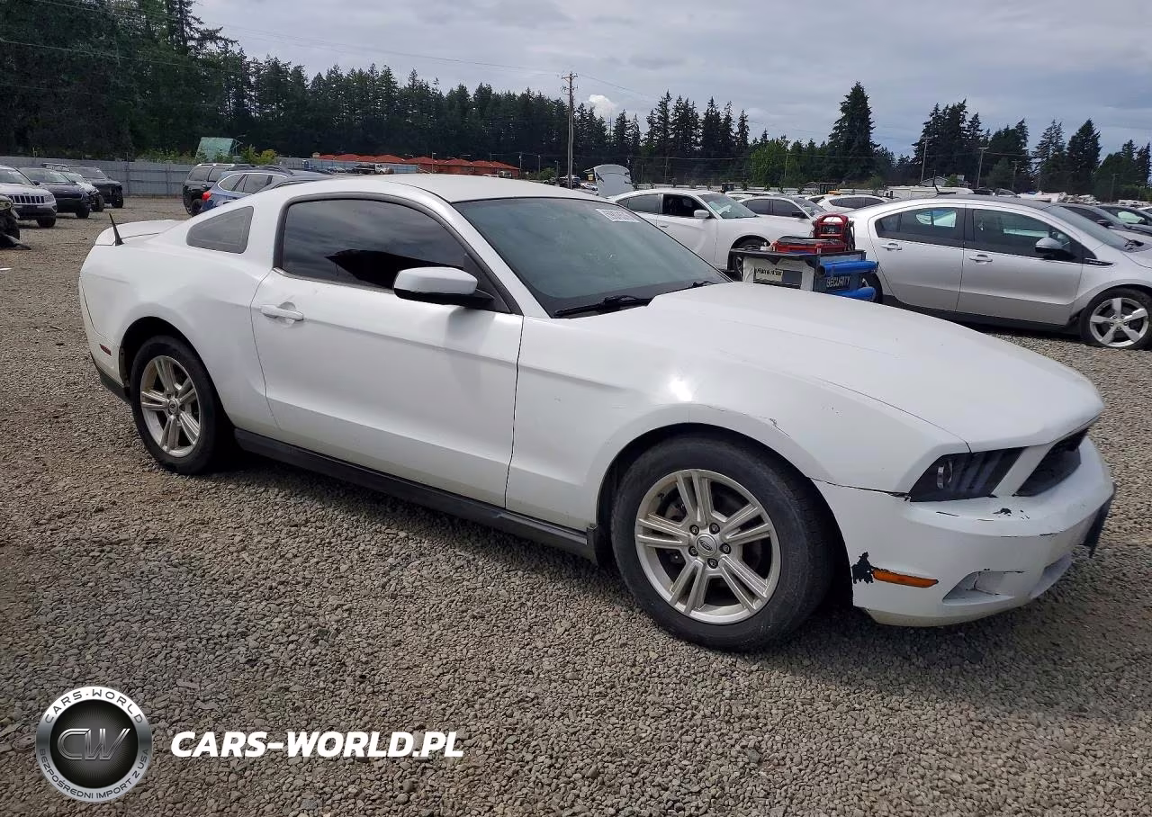 2010 Ford Mustang VIN:1ZVBP8AN5A5146862 - 4