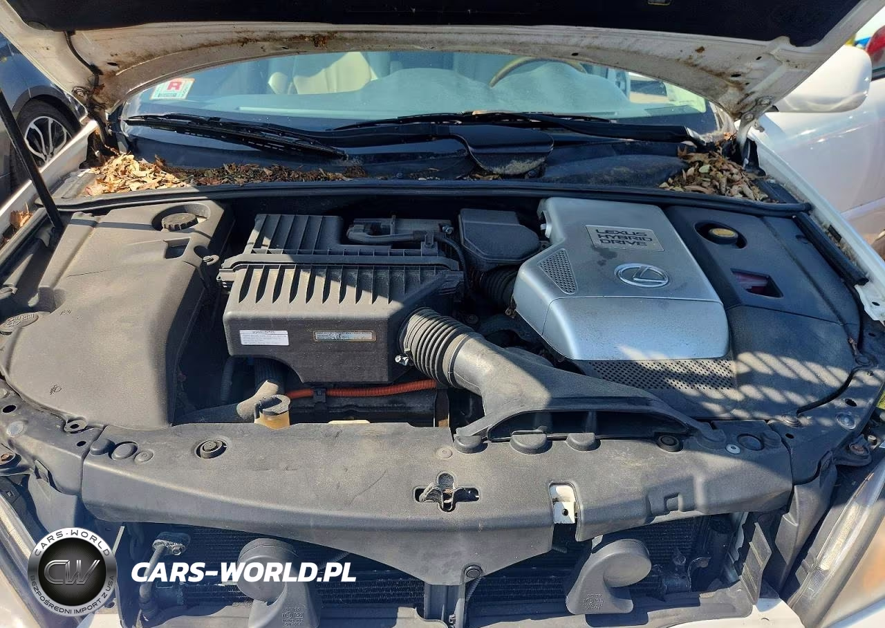 2008 Lexus Rx 400H VIN:JTJHW31UX82857492 - 12