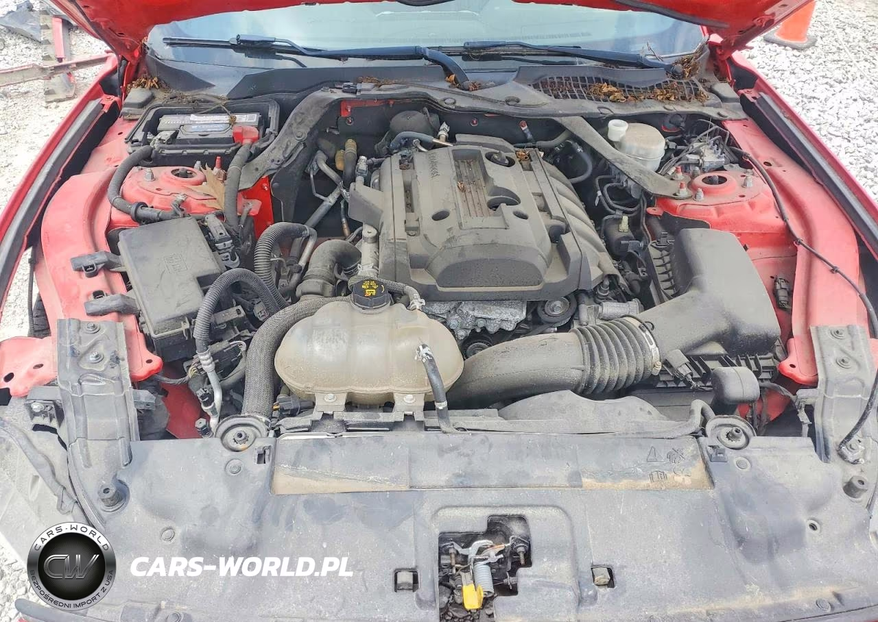 2020 Ford Mustang VIN:1FATP8UH9L5131660 - 11