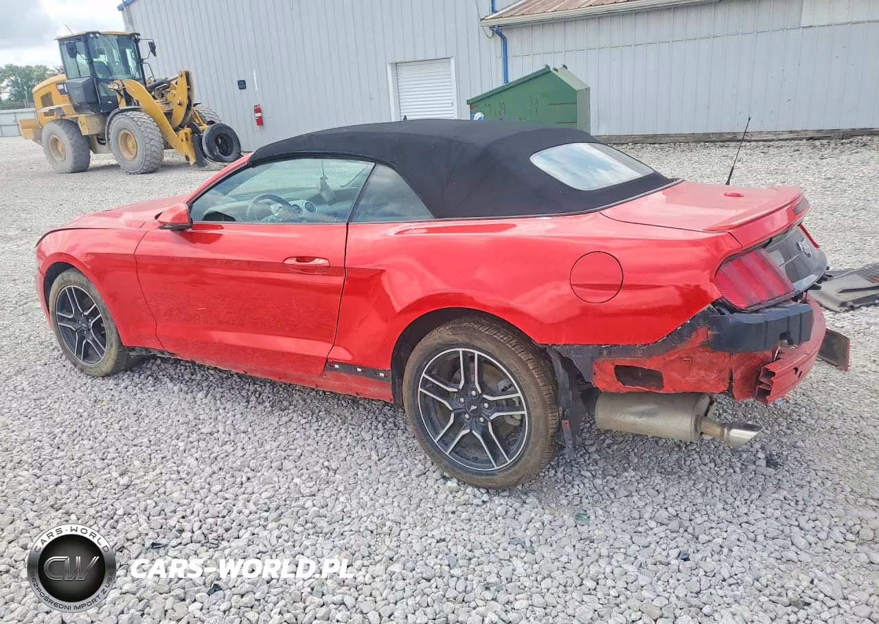 2020 Ford Mustang VIN:1FATP8UH9L5131660 - 2