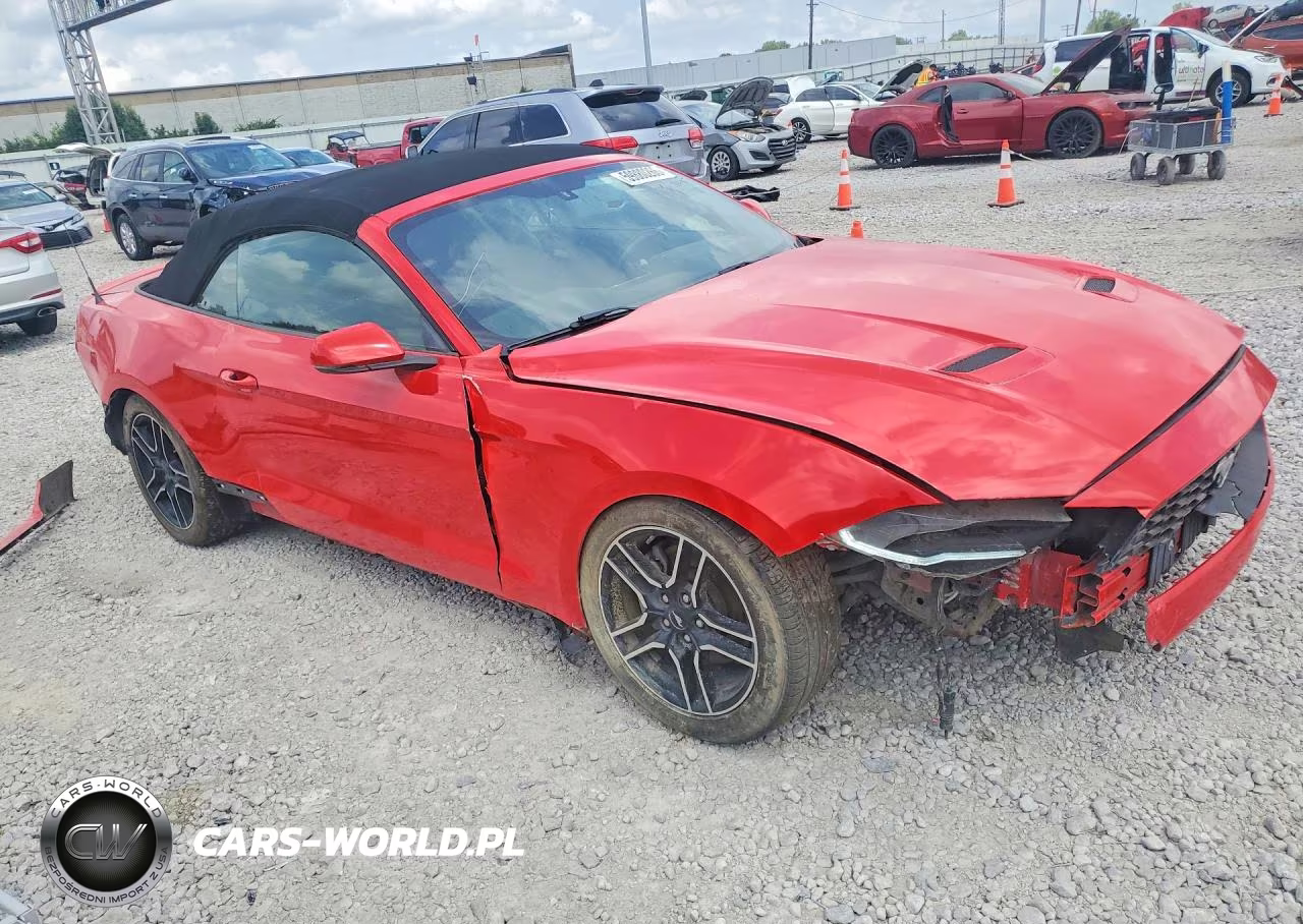 2020 Ford Mustang VIN:1FATP8UH9L5131660 - 4