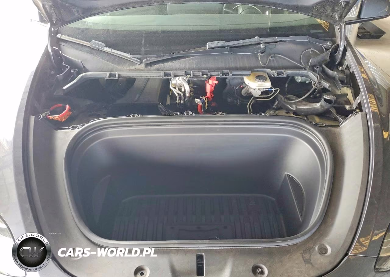2023 Tesla Model Y VIN:7SAYGDEE6PF599866 - 11
