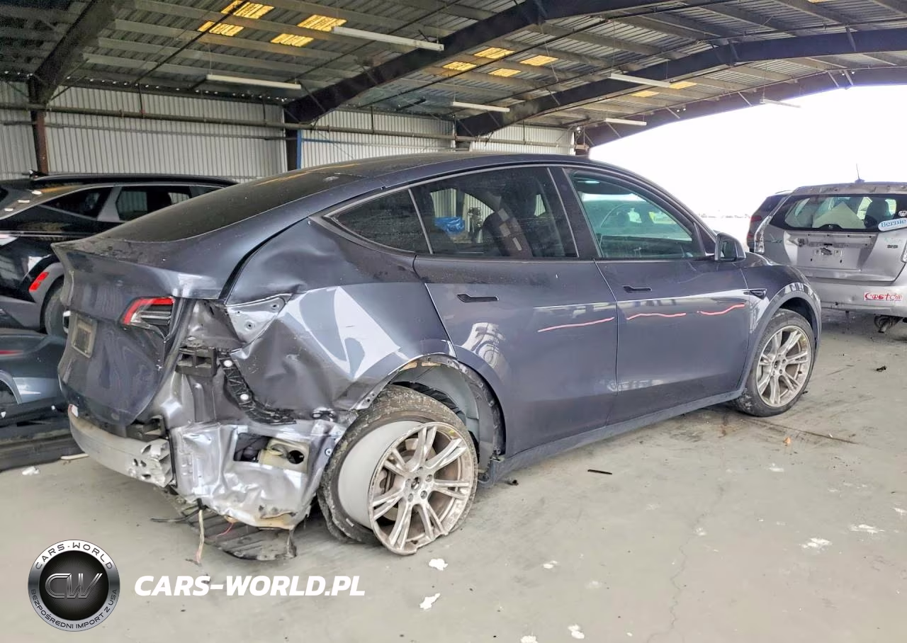 2023 Tesla Model Y VIN:7SAYGDEE6PF599866 - 3