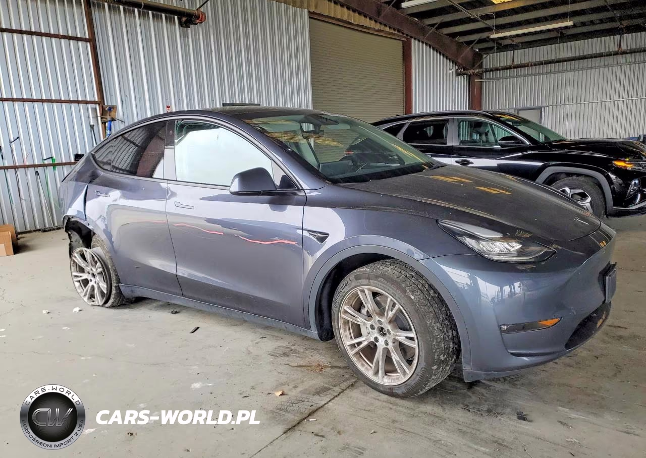 2023 Tesla Model Y VIN:7SAYGDEE6PF599866 - 4