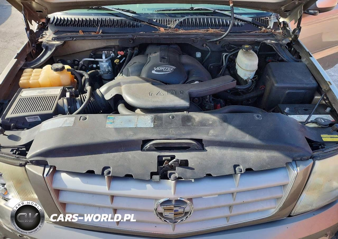 2003 Cadillac Escalade Luxury VIN:1GYEK63N53R281362 - 12