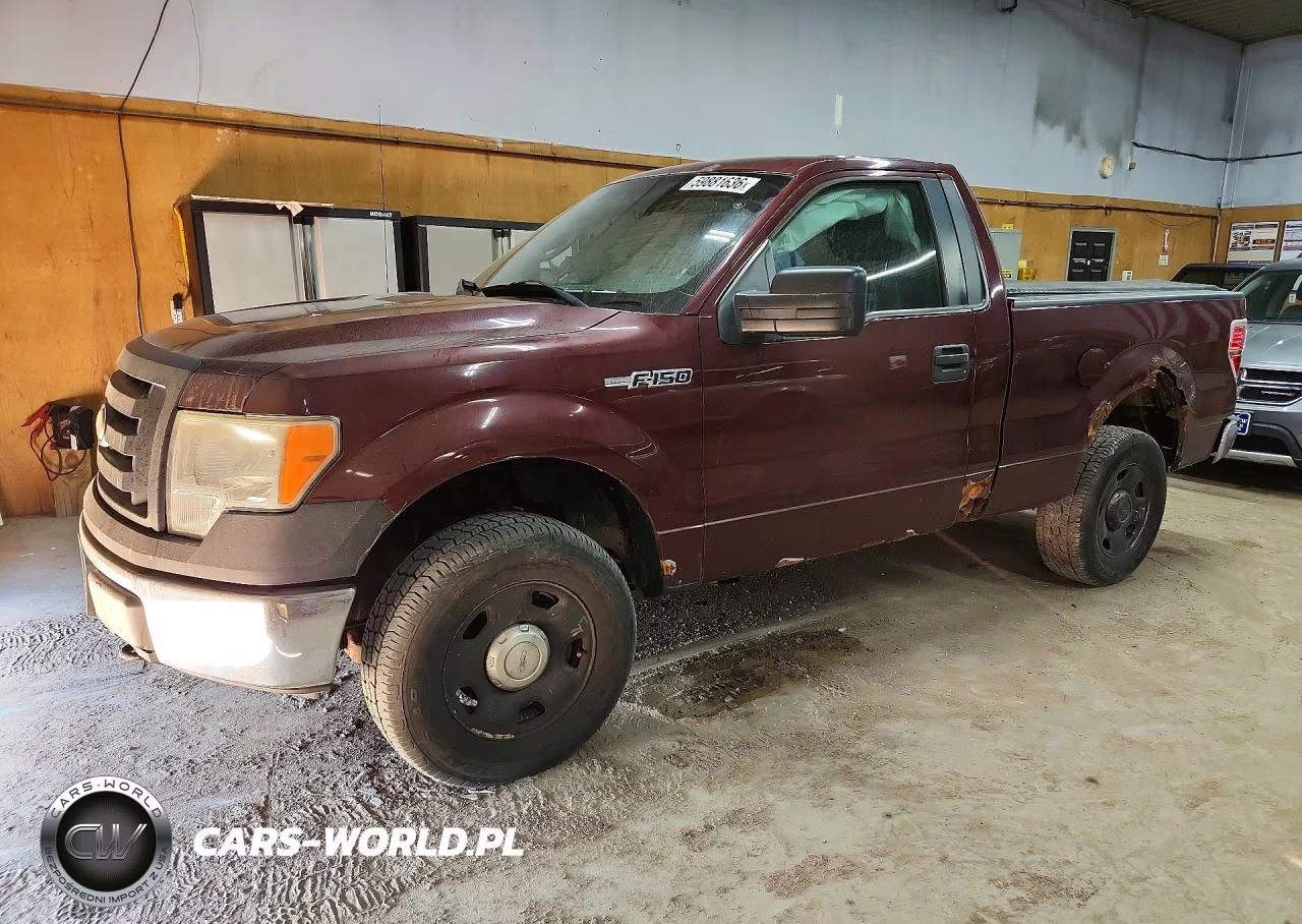 2009 Ford F150