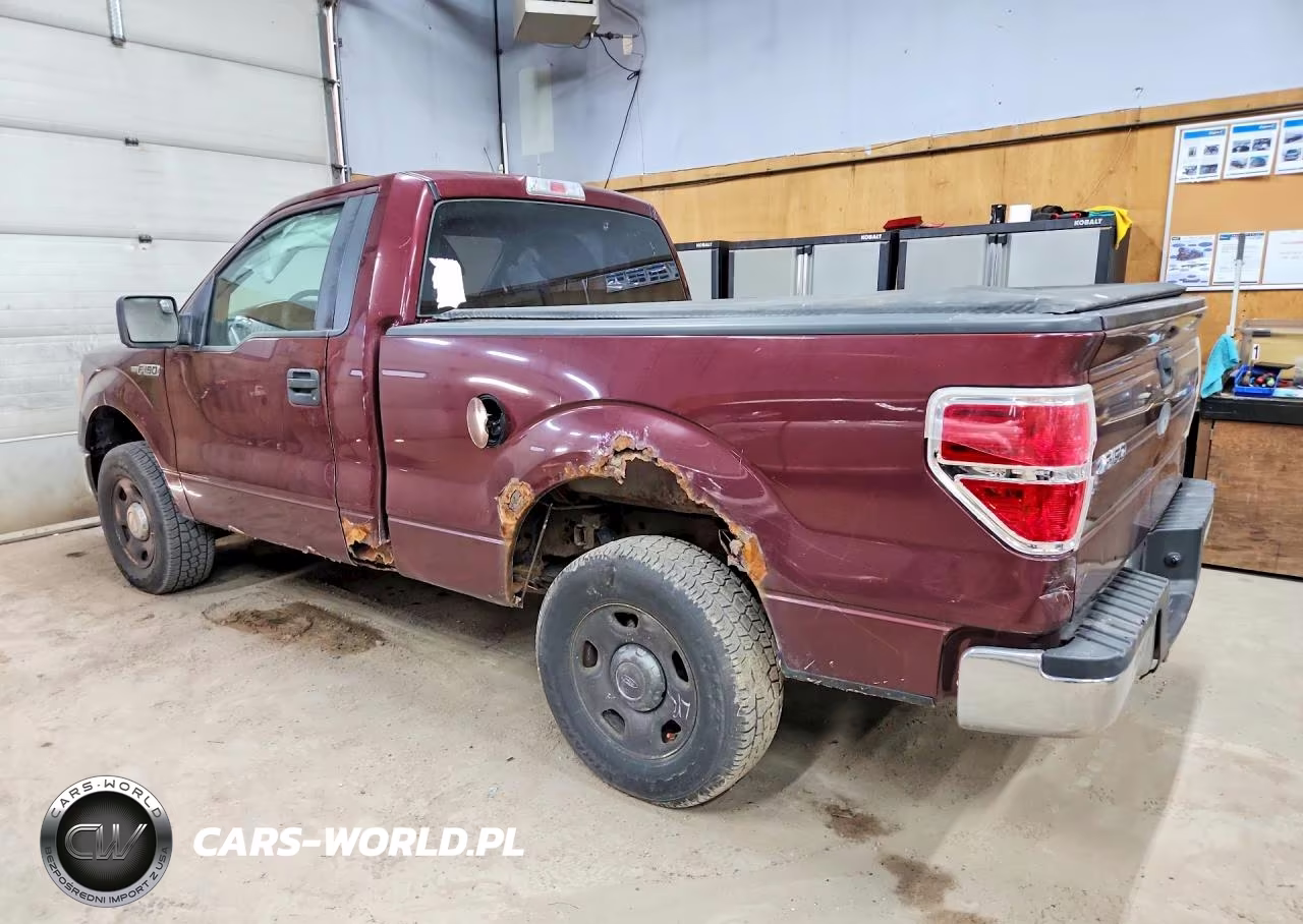 2009 Ford F150 VIN:1FTRF14839KA94596 - 2