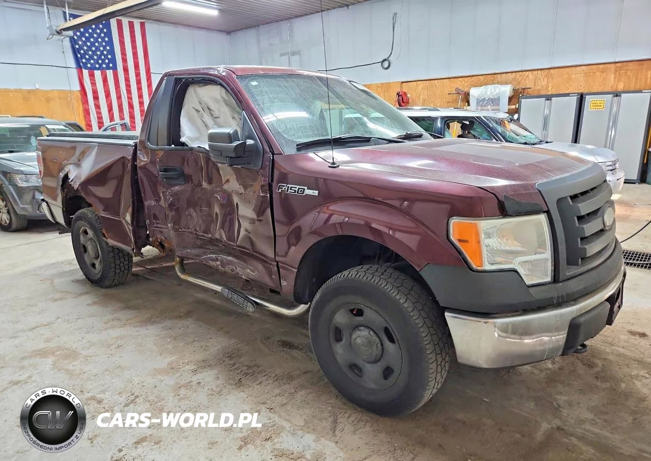 2009 Ford F150 VIN:1FTRF14839KA94596 - 4