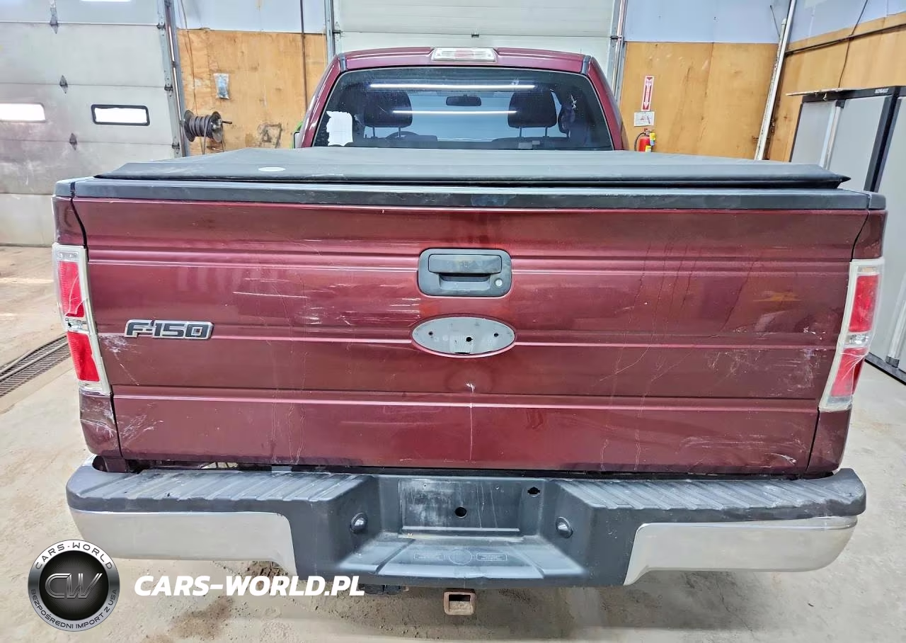 2009 Ford F150 VIN:1FTRF14839KA94596 - 6