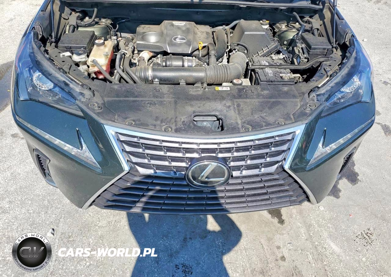 2021 Lexus Nx 300 Base VIN:JTJDARBZ1M2186766 - 12