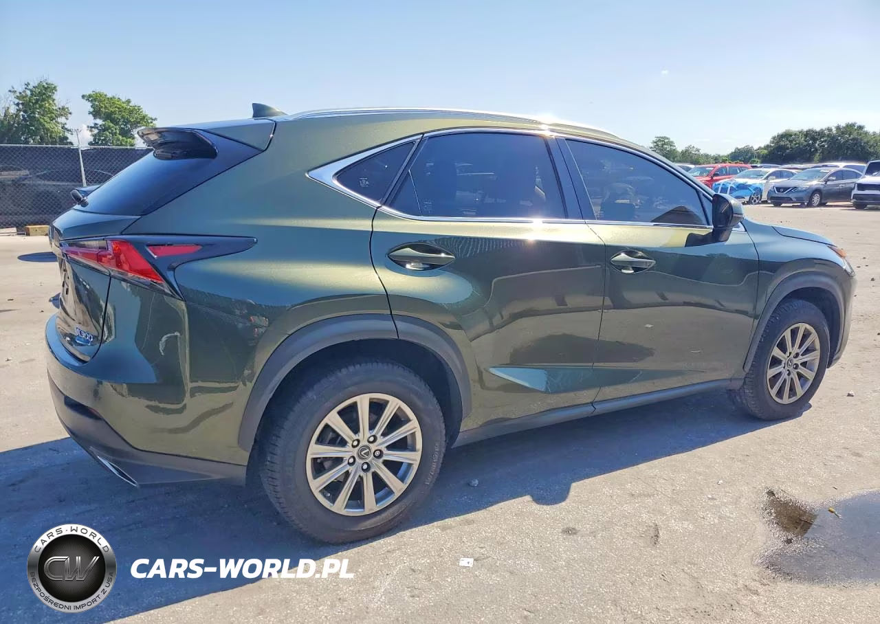 2021 Lexus Nx 300 Base VIN:JTJDARBZ1M2186766 - 3