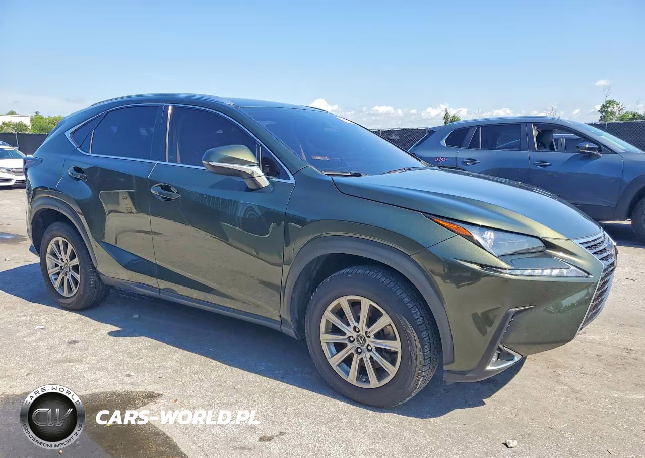 2021 Lexus Nx 300 Base VIN:JTJDARBZ1M2186766 - 4