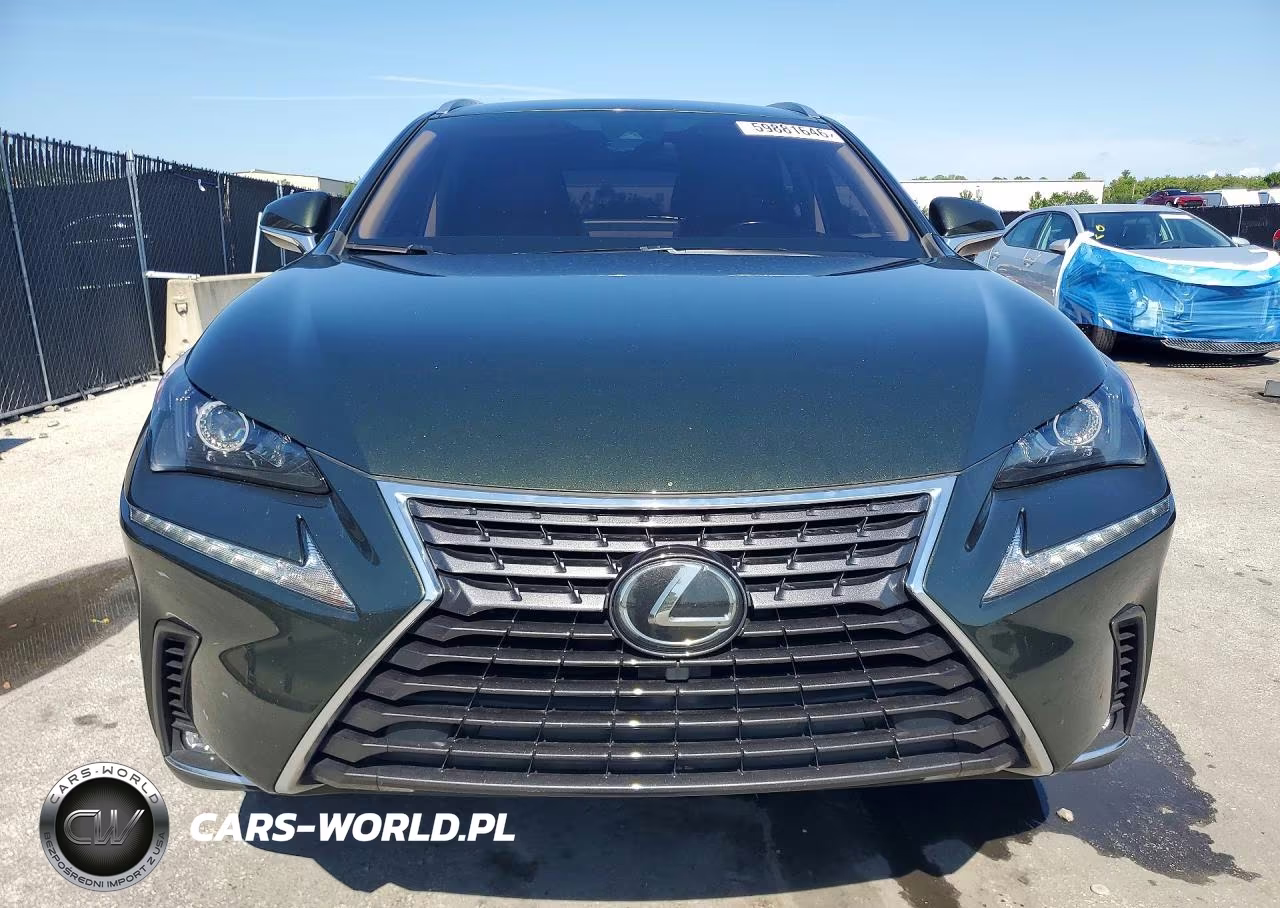 2021 Lexus Nx 300 Base VIN:JTJDARBZ1M2186766 - 5