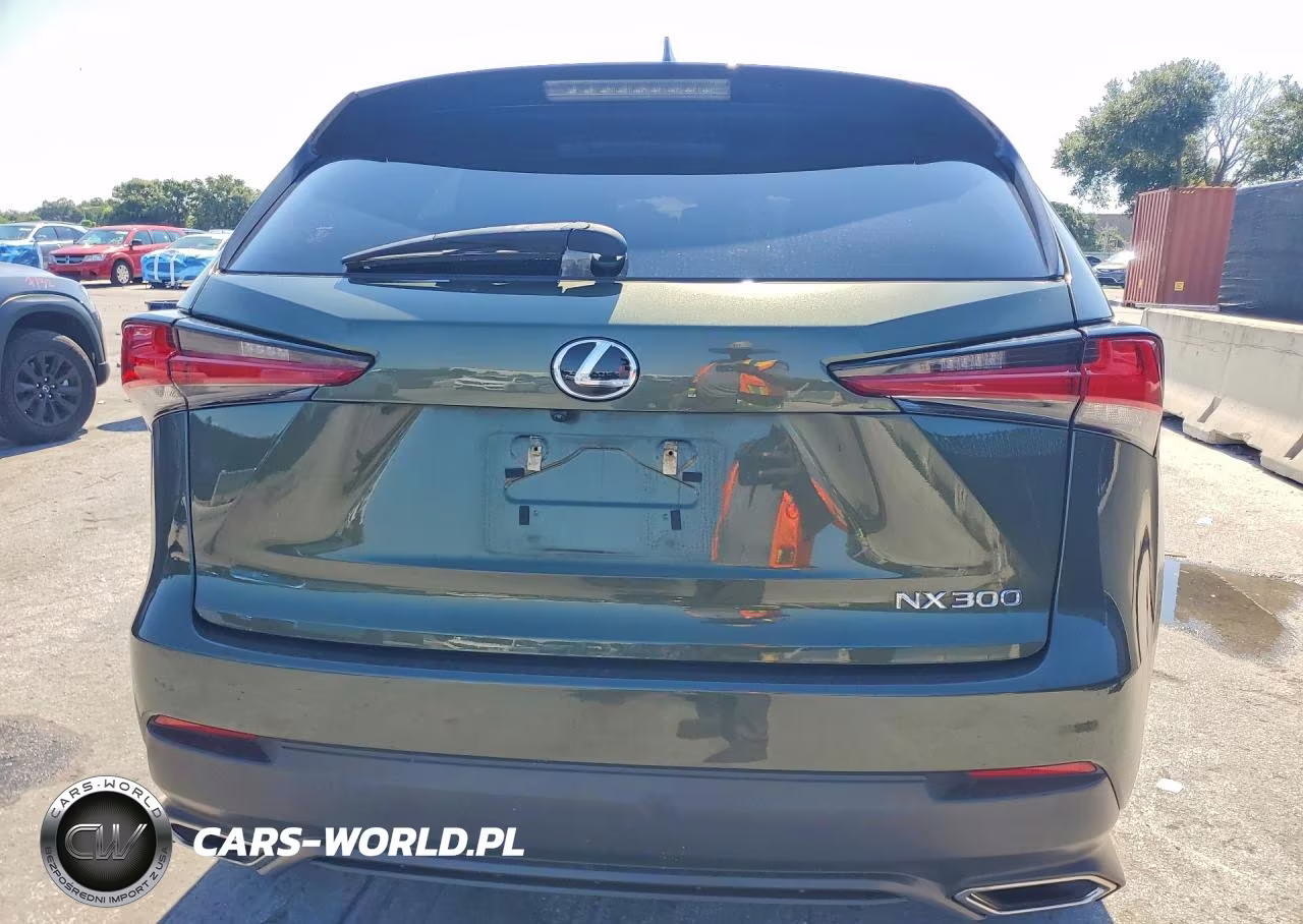 2021 Lexus Nx 300 Base VIN:JTJDARBZ1M2186766 - 6