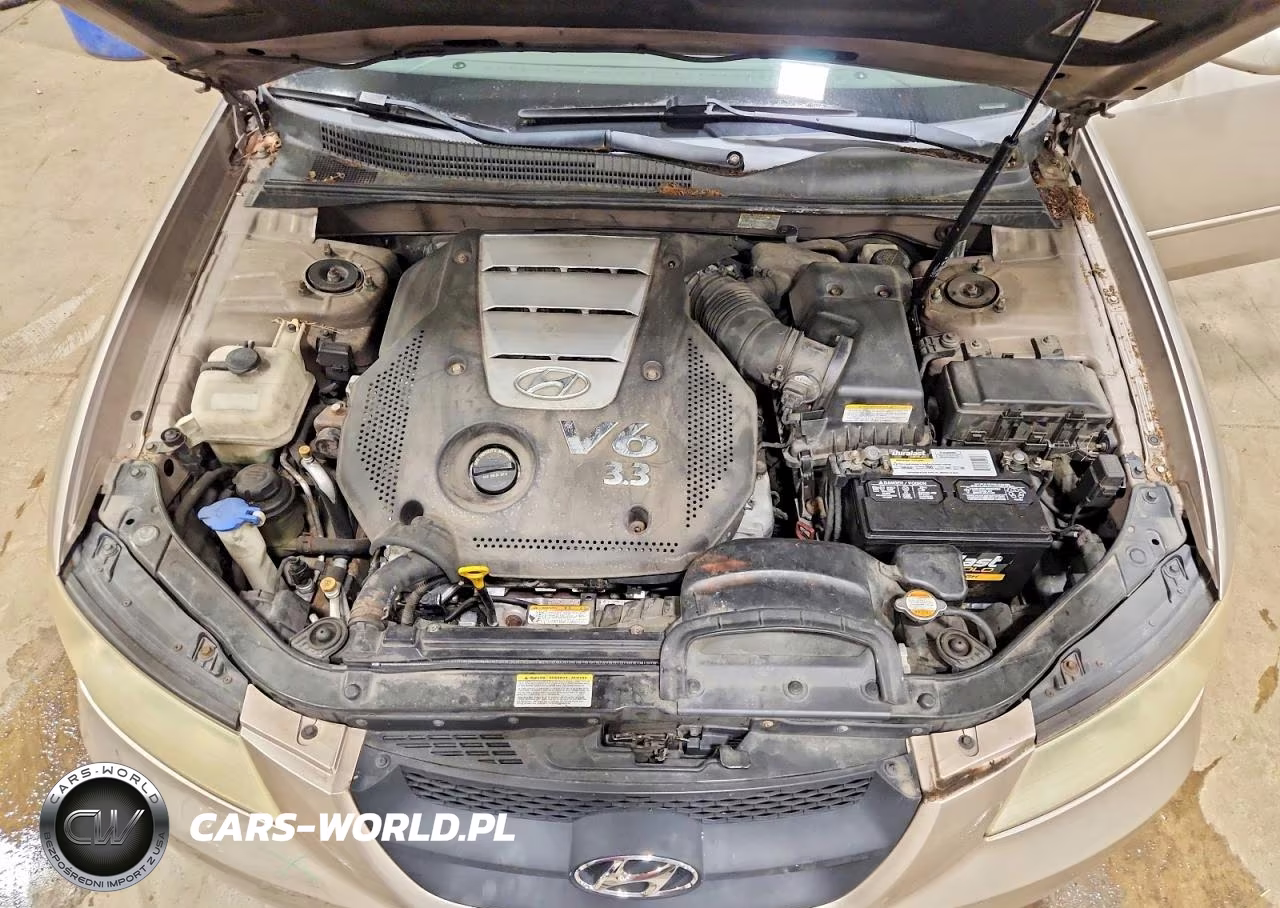 2007 Hyundai Sonata Se VIN:5NPEU46F17H207037 - 11