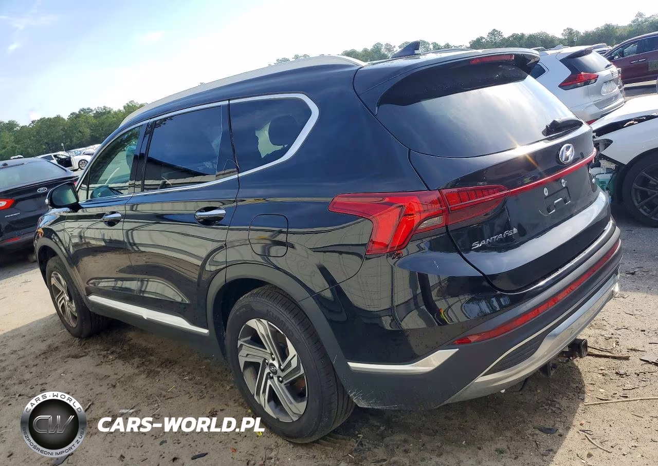 2023 Hyundai Santa Fe Sel Premium VIN:5NMS3DAJ2PH508107 - 2
