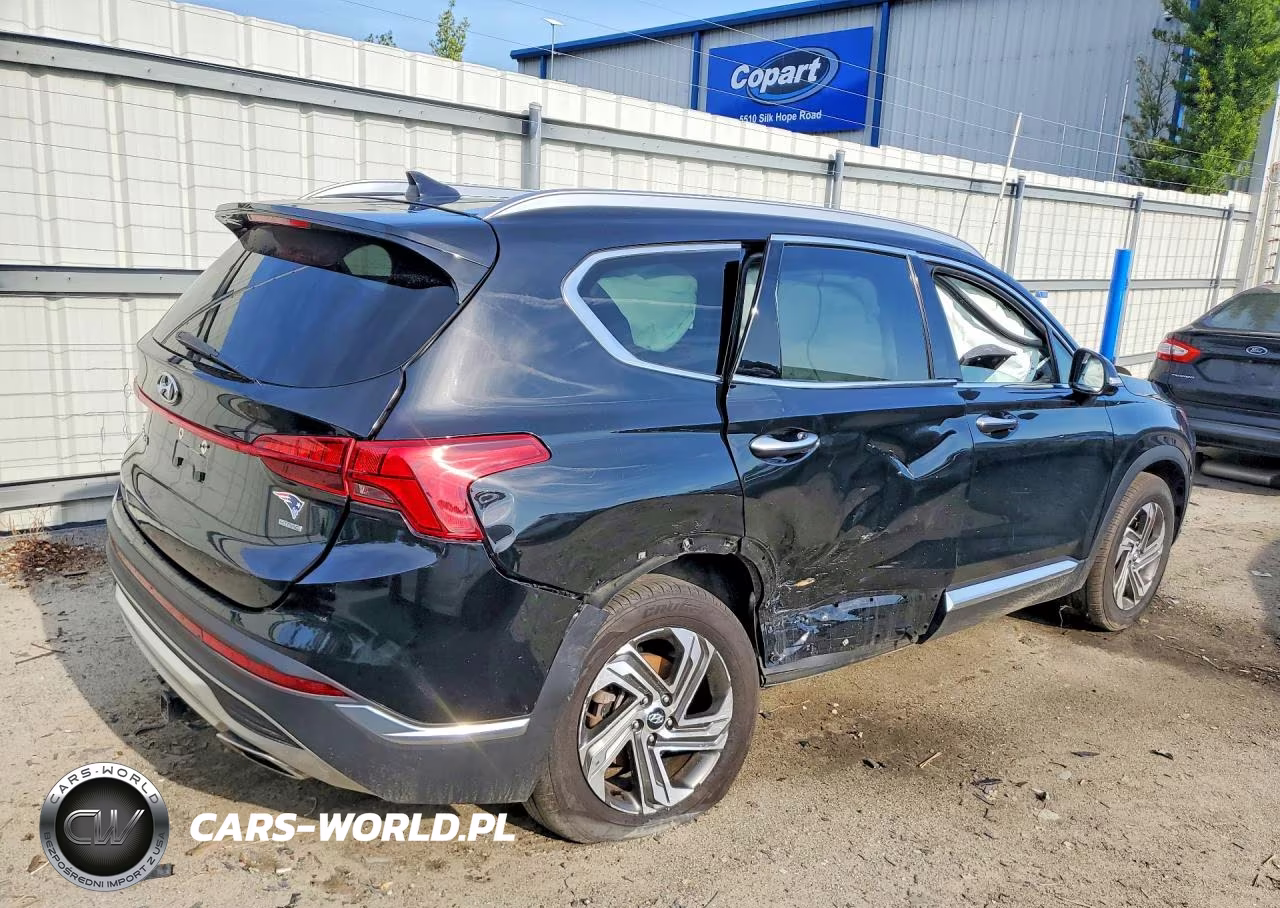 2023 Hyundai Santa Fe Sel Premium VIN:5NMS3DAJ2PH508107 - 3