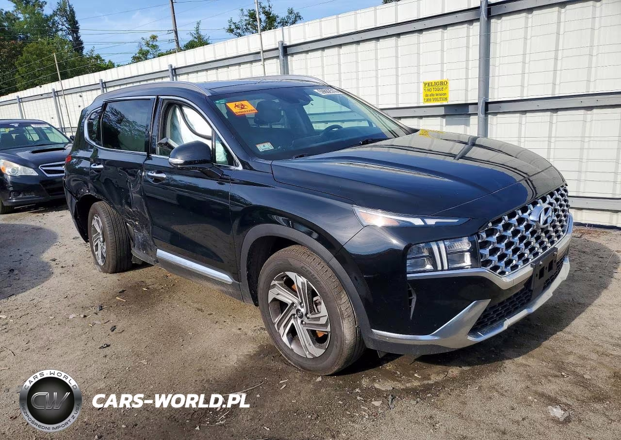 2023 Hyundai Santa Fe Sel Premium VIN:5NMS3DAJ2PH508107 - 4