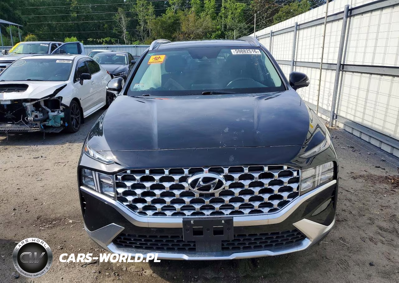 2023 Hyundai Santa Fe Sel Premium VIN:5NMS3DAJ2PH508107 - 5