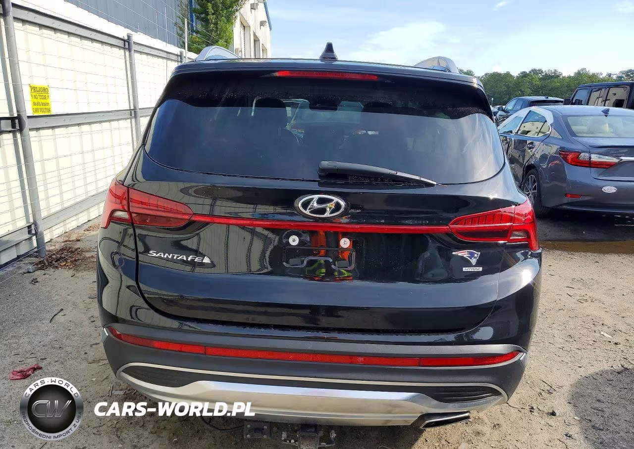2023 Hyundai Santa Fe Sel Premium VIN:5NMS3DAJ2PH508107 - 6