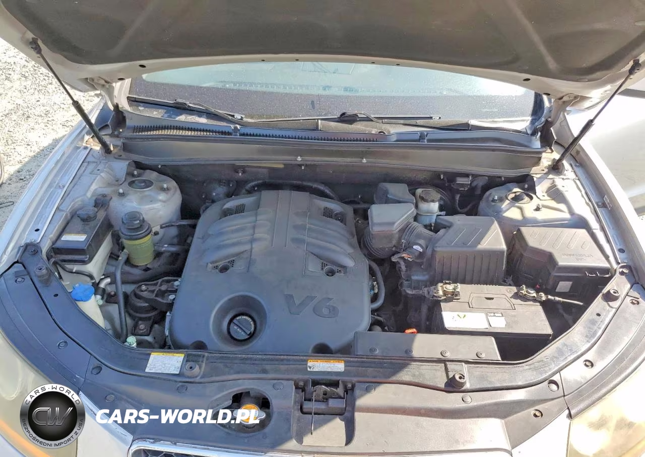 2009 Hyundai Santa Fe Se VIN:5NMSH13E39H230661 - 12