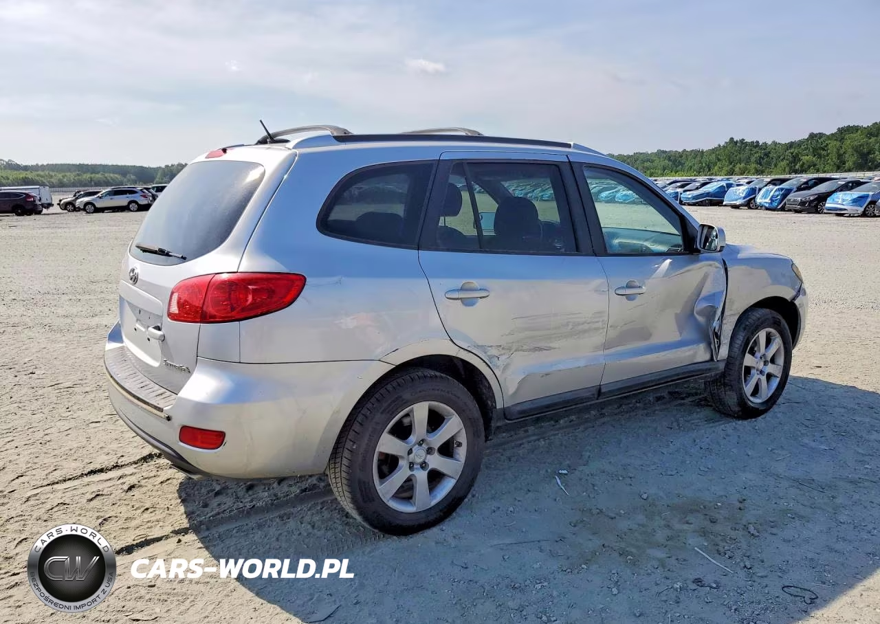 2009 Hyundai Santa Fe Se VIN:5NMSH13E39H230661 - 3