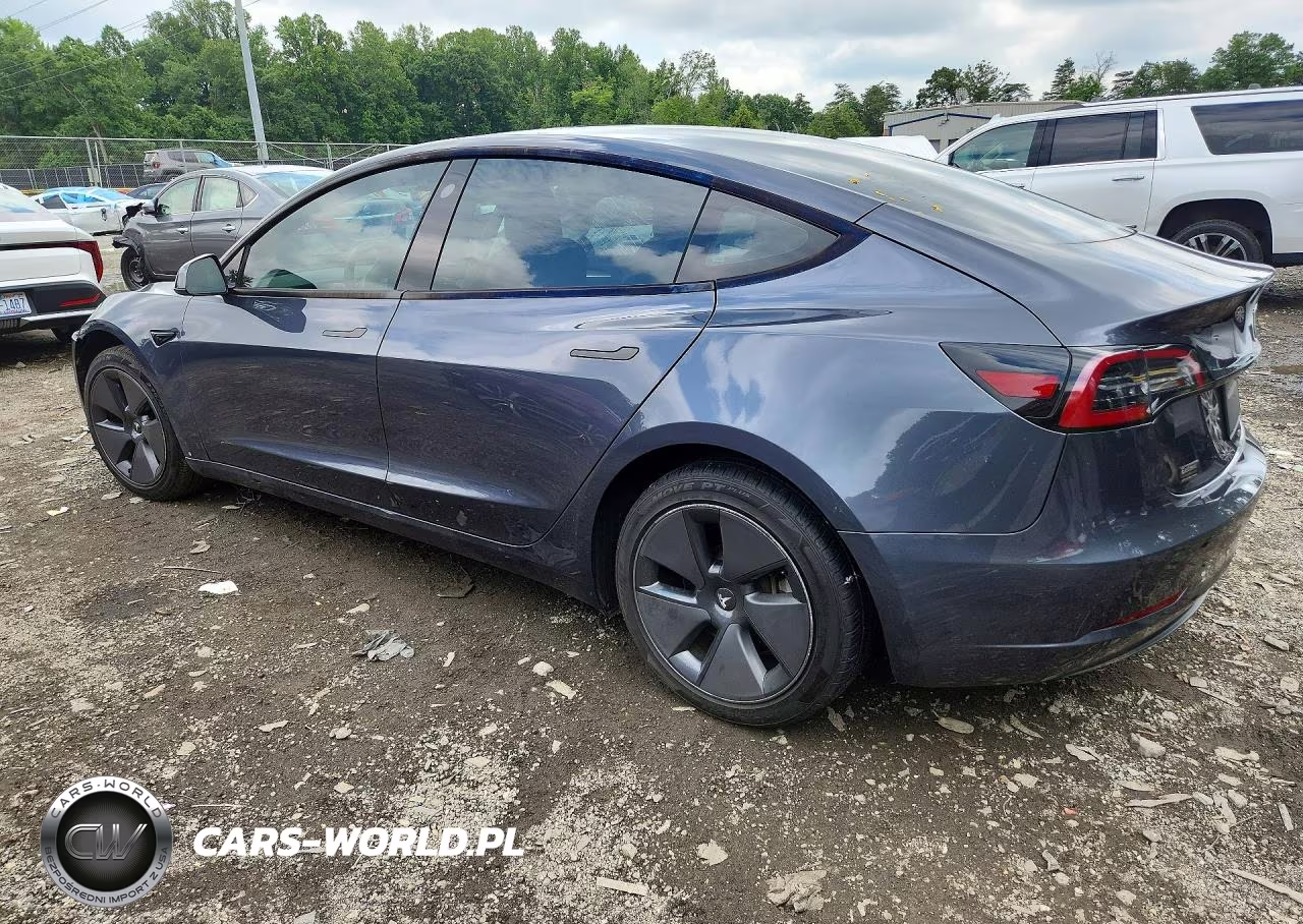 2023 Tesla Model 3 VIN:5YJ3E1EAXPF423105 - 2
