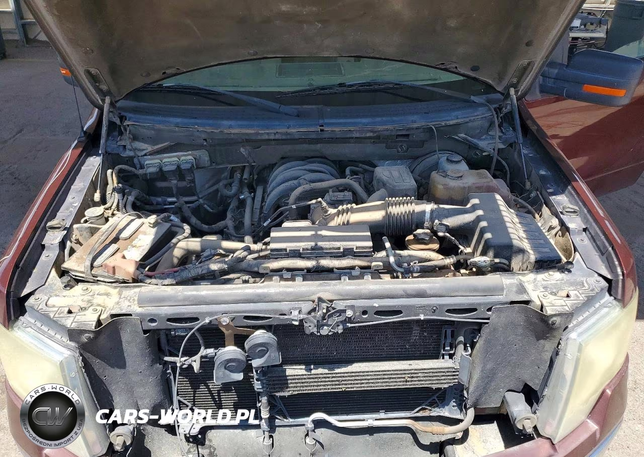 2010 Ford F150 Supercrew VIN:1FTEW1C88AFC85184 - 11