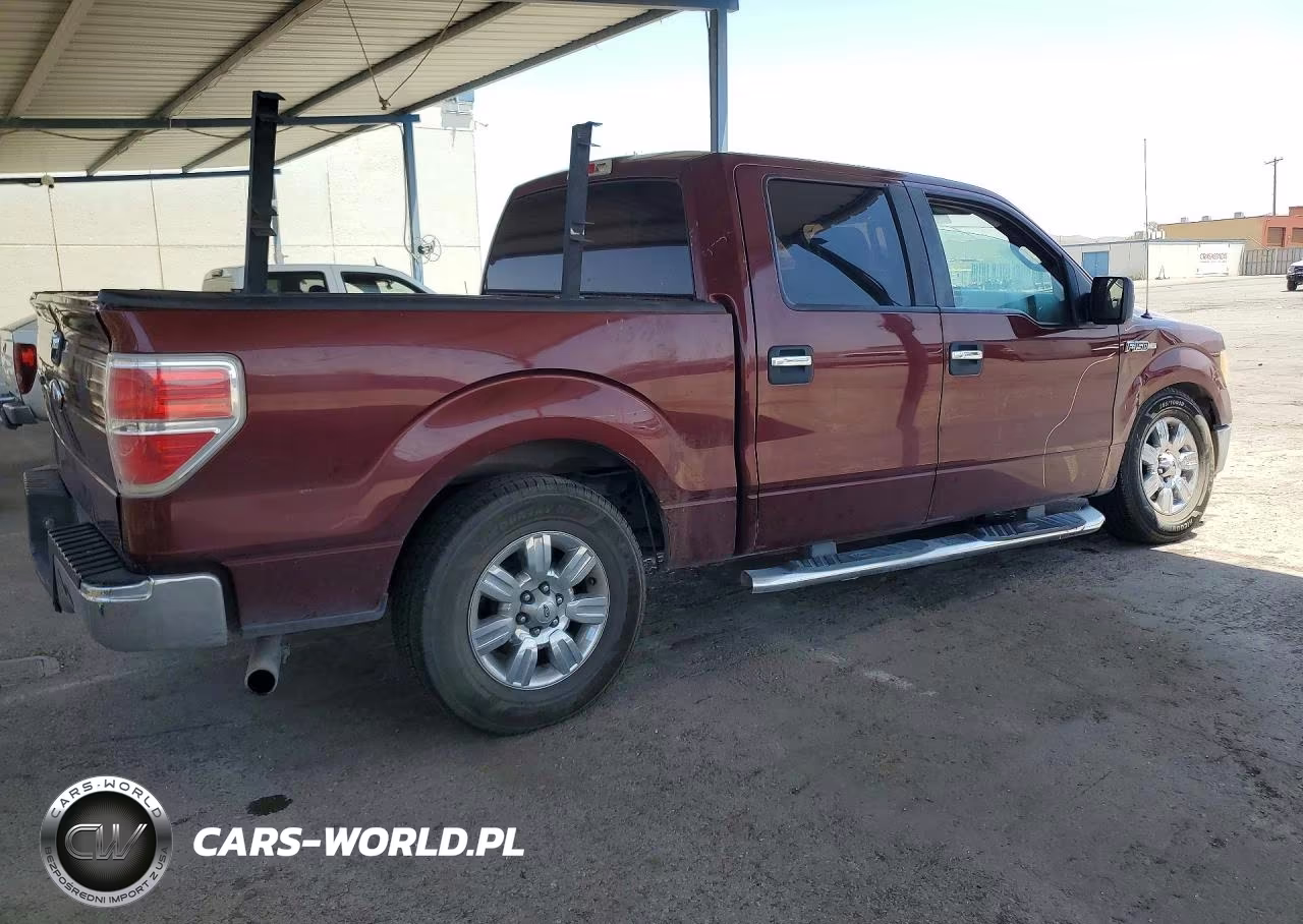 2010 Ford F150 Supercrew VIN:1FTEW1C88AFC85184 - 3