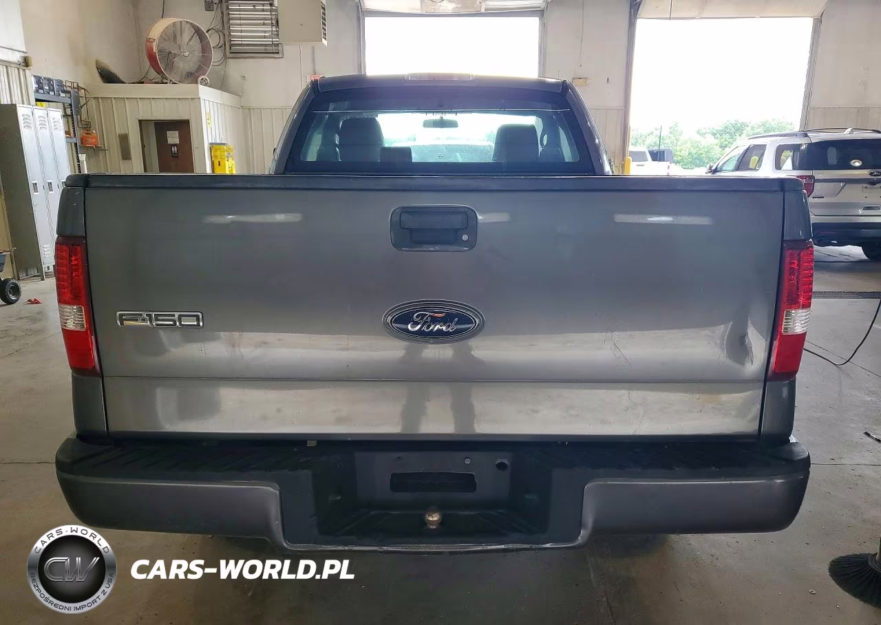 2006 Ford F150 VIN:1FTRF12246NA35243 - 6