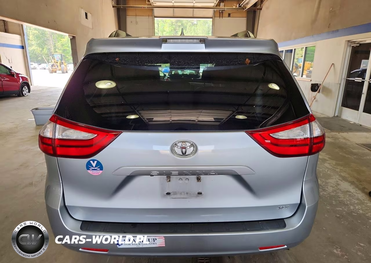 2019 Toyota Sienna Xle 8-Passenger VIN:5TDYZ3DC9KS999622 - 6