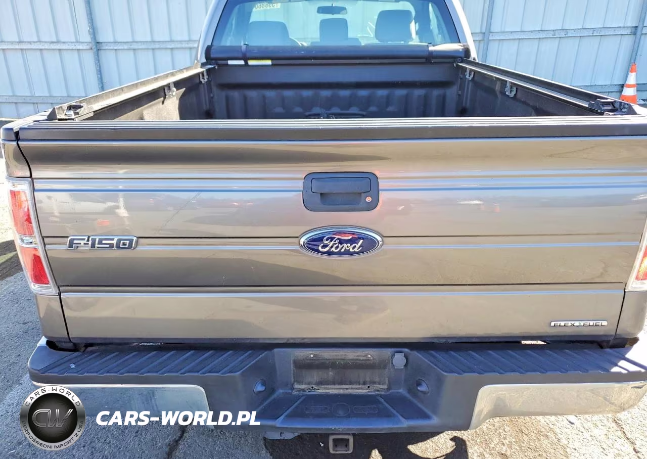 2013 Ford F150 VIN:1FTMF1CM7DFD70370 - 10