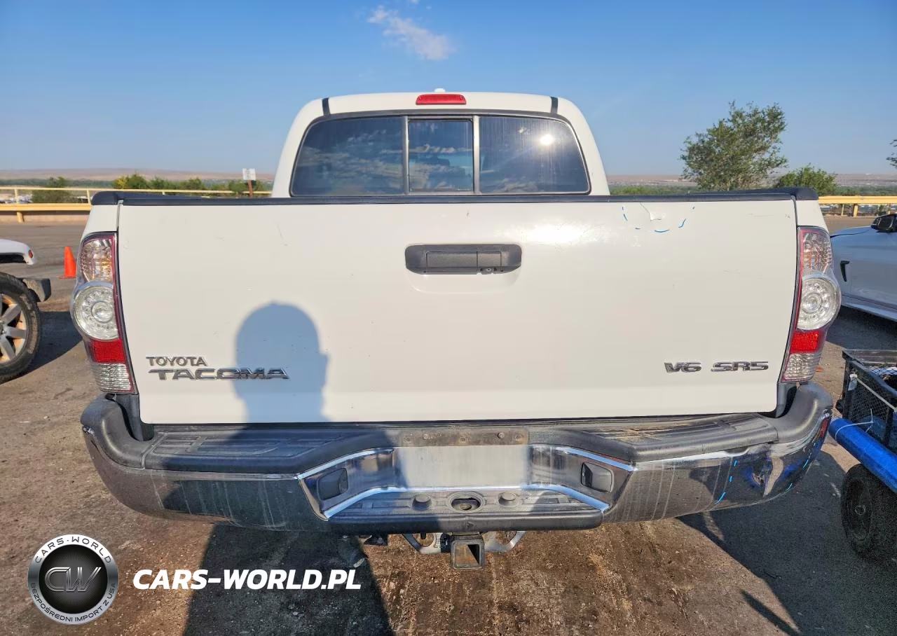 2010 Toyota Tacoma Double Cab VIN:5TELU4EN3AZ691152 - 6