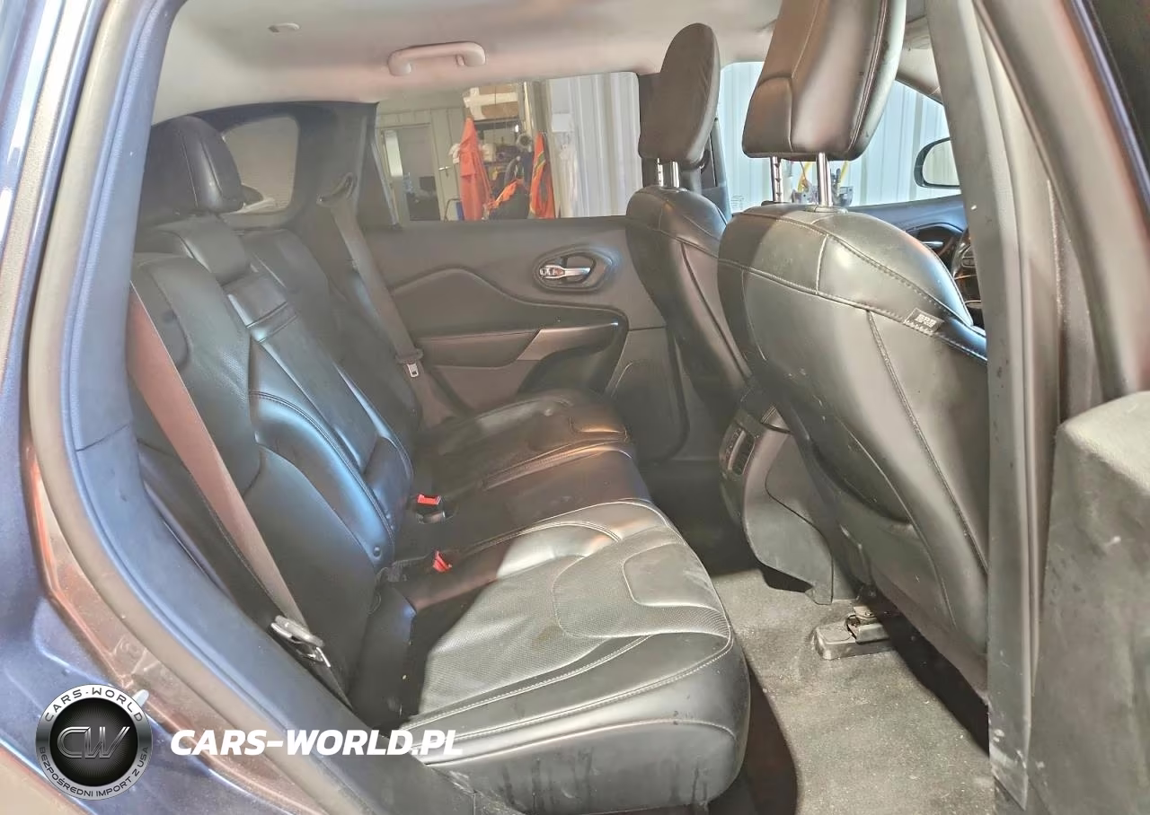 2019 Jeep Cherokee Limited VIN:1C4PJMDNXKD368464 - 11