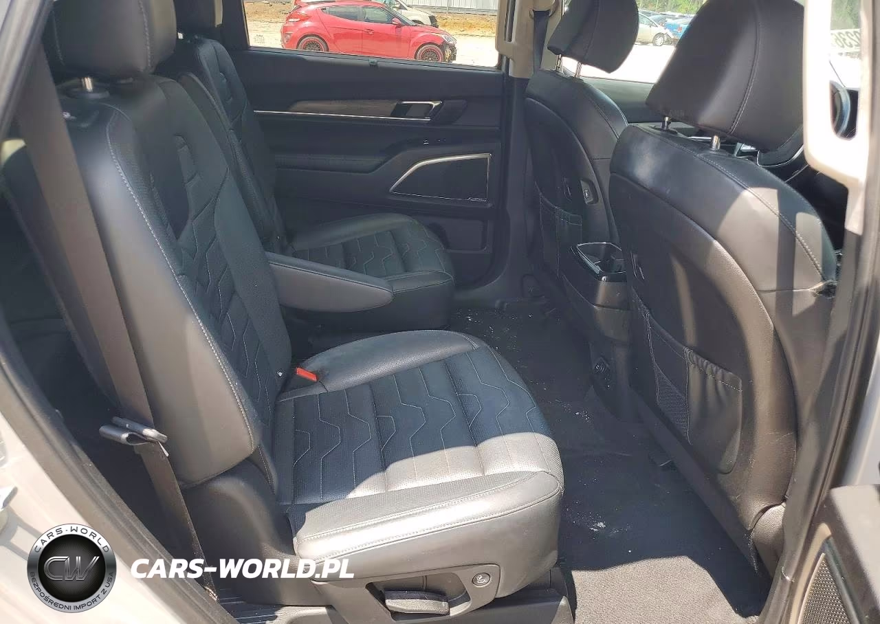 2022 Kia Telluride Sx VIN:5XYP5DHC0NG199378 - 11