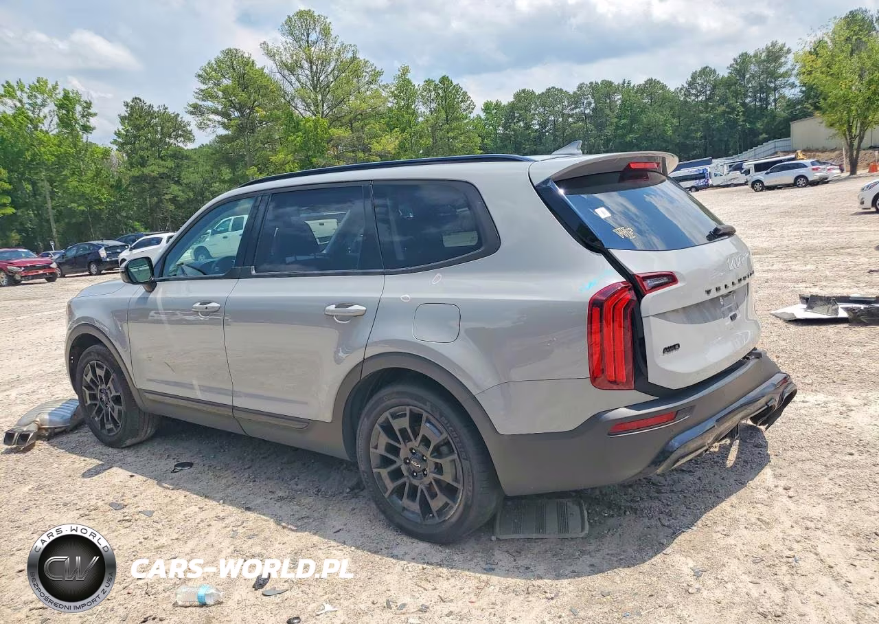 2022 Kia Telluride Sx VIN:5XYP5DHC0NG199378 - 2