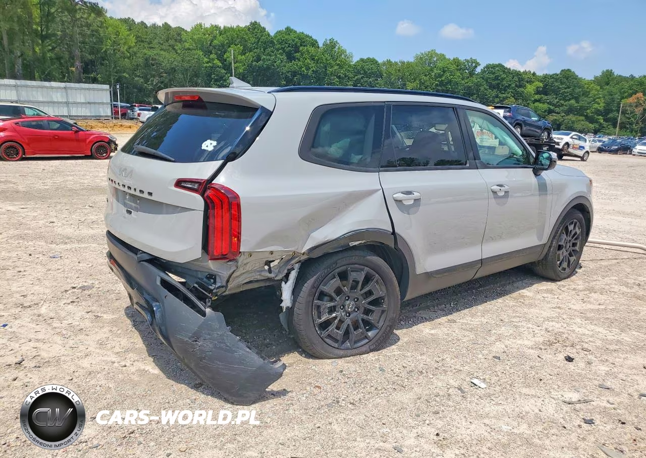 2022 Kia Telluride Sx VIN:5XYP5DHC0NG199378 - 3