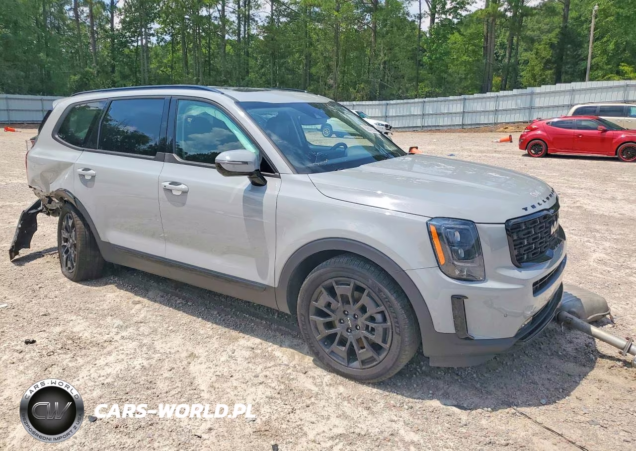 2022 Kia Telluride Sx VIN:5XYP5DHC0NG199378 - 4