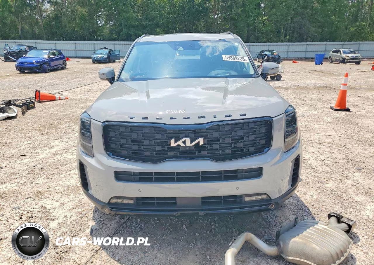2022 Kia Telluride Sx VIN:5XYP5DHC0NG199378 - 5