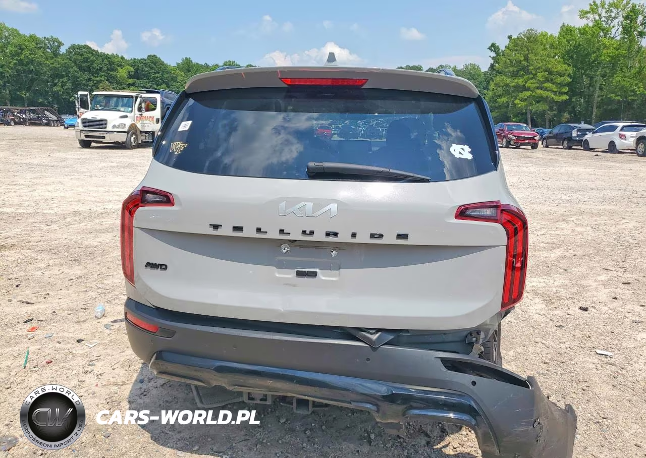 2022 Kia Telluride Sx VIN:5XYP5DHC0NG199378 - 6