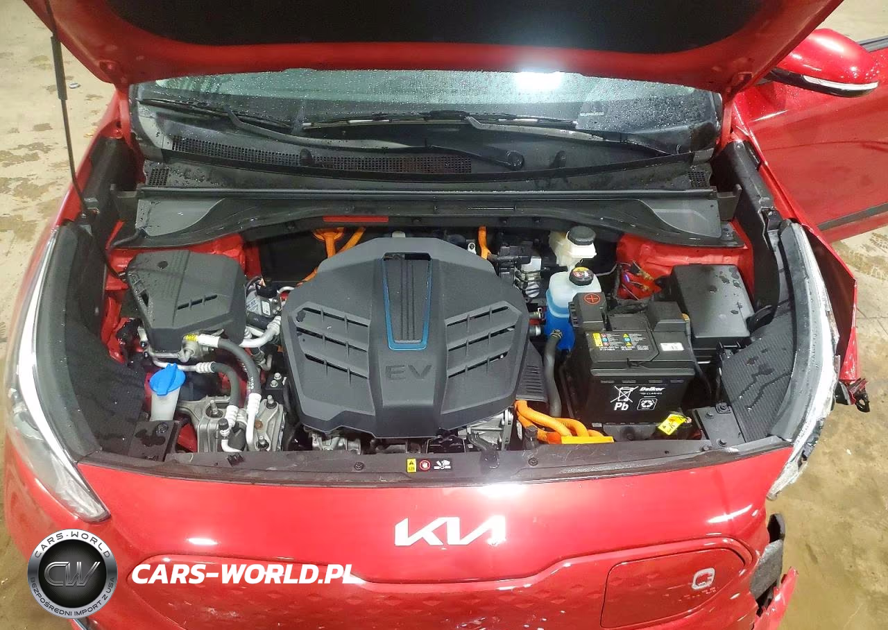 2022 Kia Niro Ev Ex VIN:KNDCC3LG2N5121914 - 11