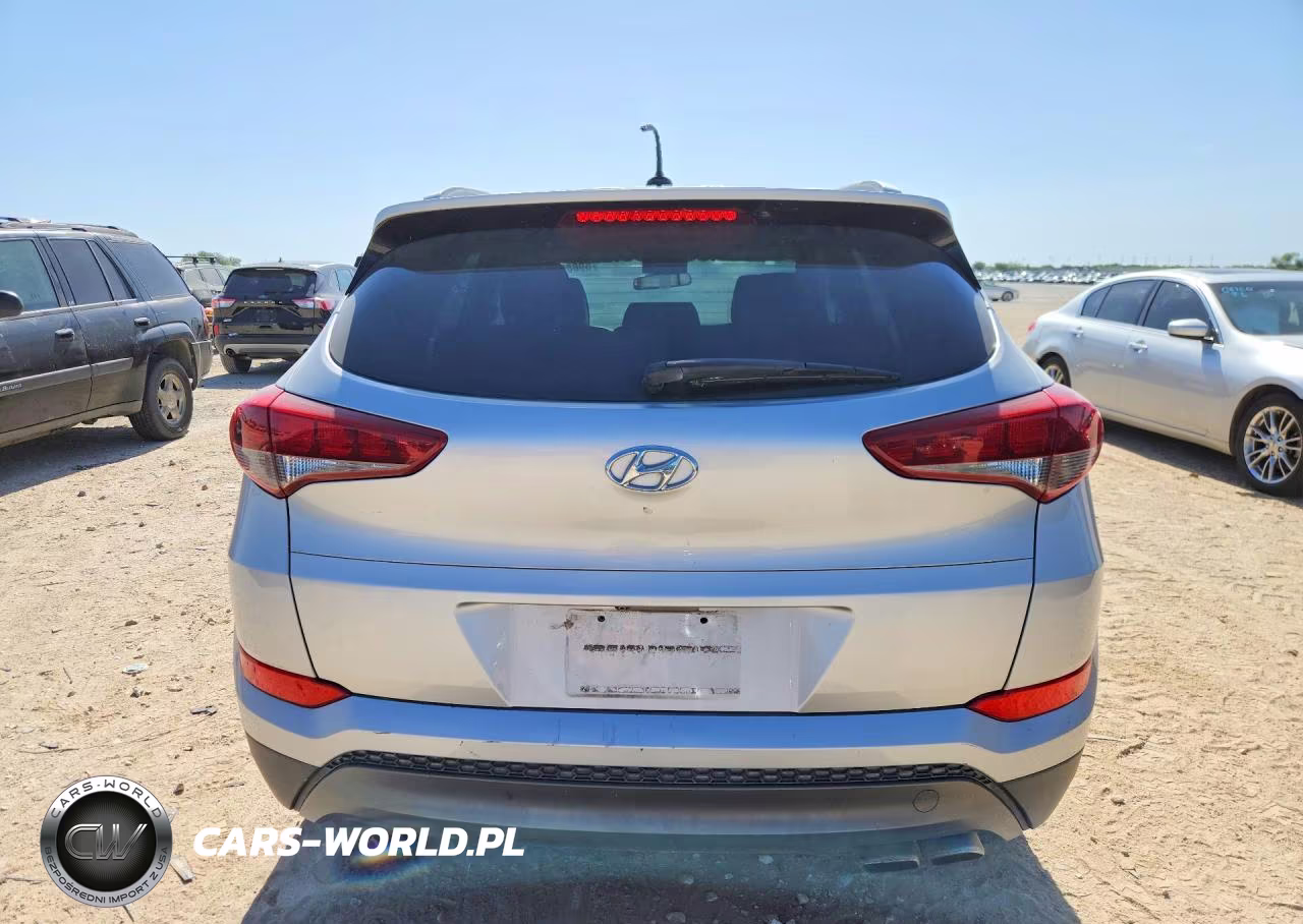 2016 Hyundai Tucson Sport VIN:KM8J33A26GU038358 - 6