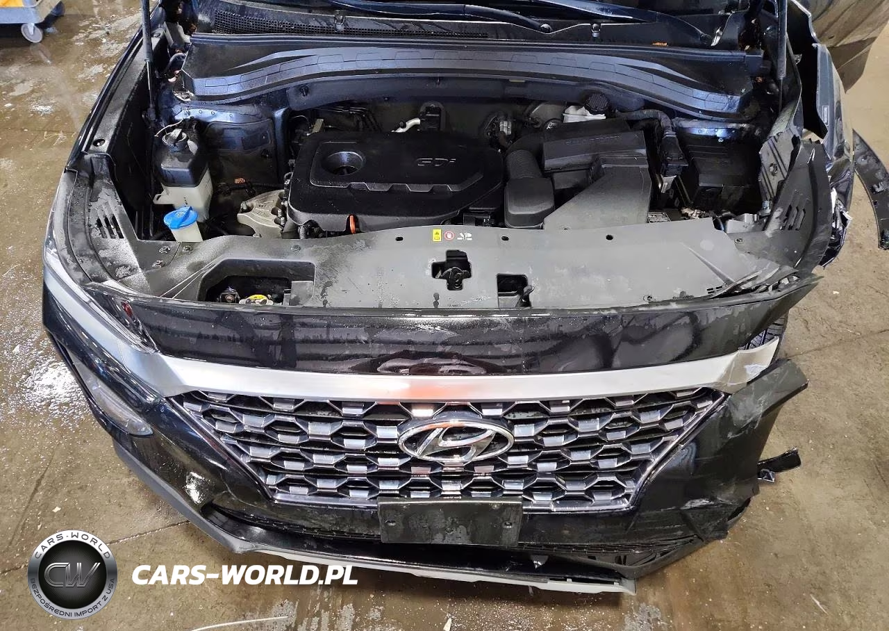 2020 Hyundai Santa Fe Sel VIN:5NMS3CADXLH288486 - 12