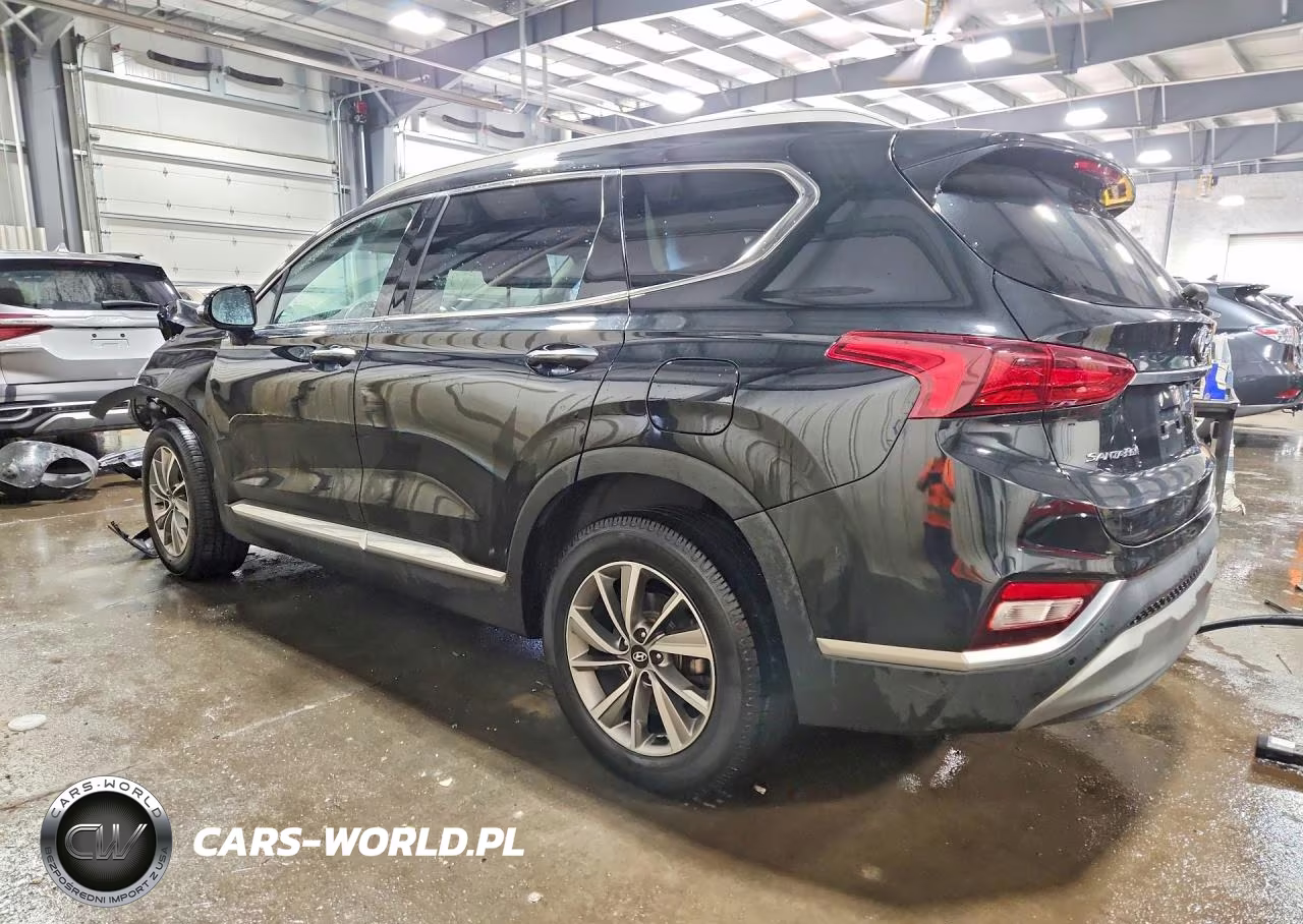 2020 Hyundai Santa Fe Sel VIN:5NMS3CADXLH288486 - 2