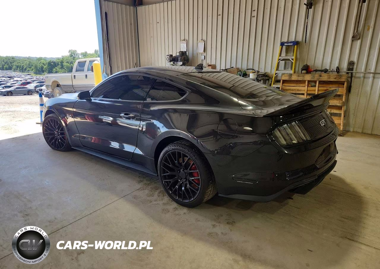 2023 Ford Mustang Gt VIN:1FA6P8CF9P5301826 - 2