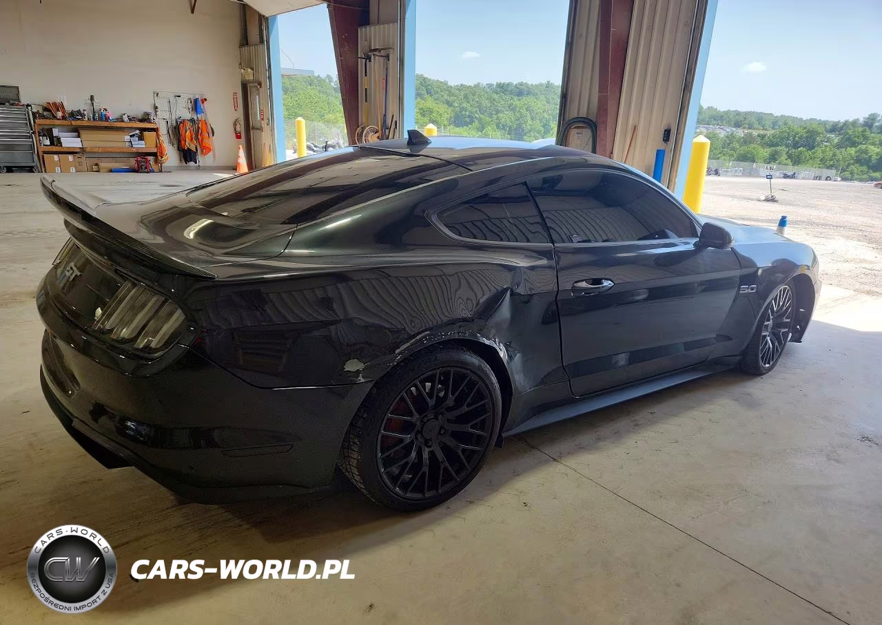 2023 Ford Mustang Gt VIN:1FA6P8CF9P5301826 - 3