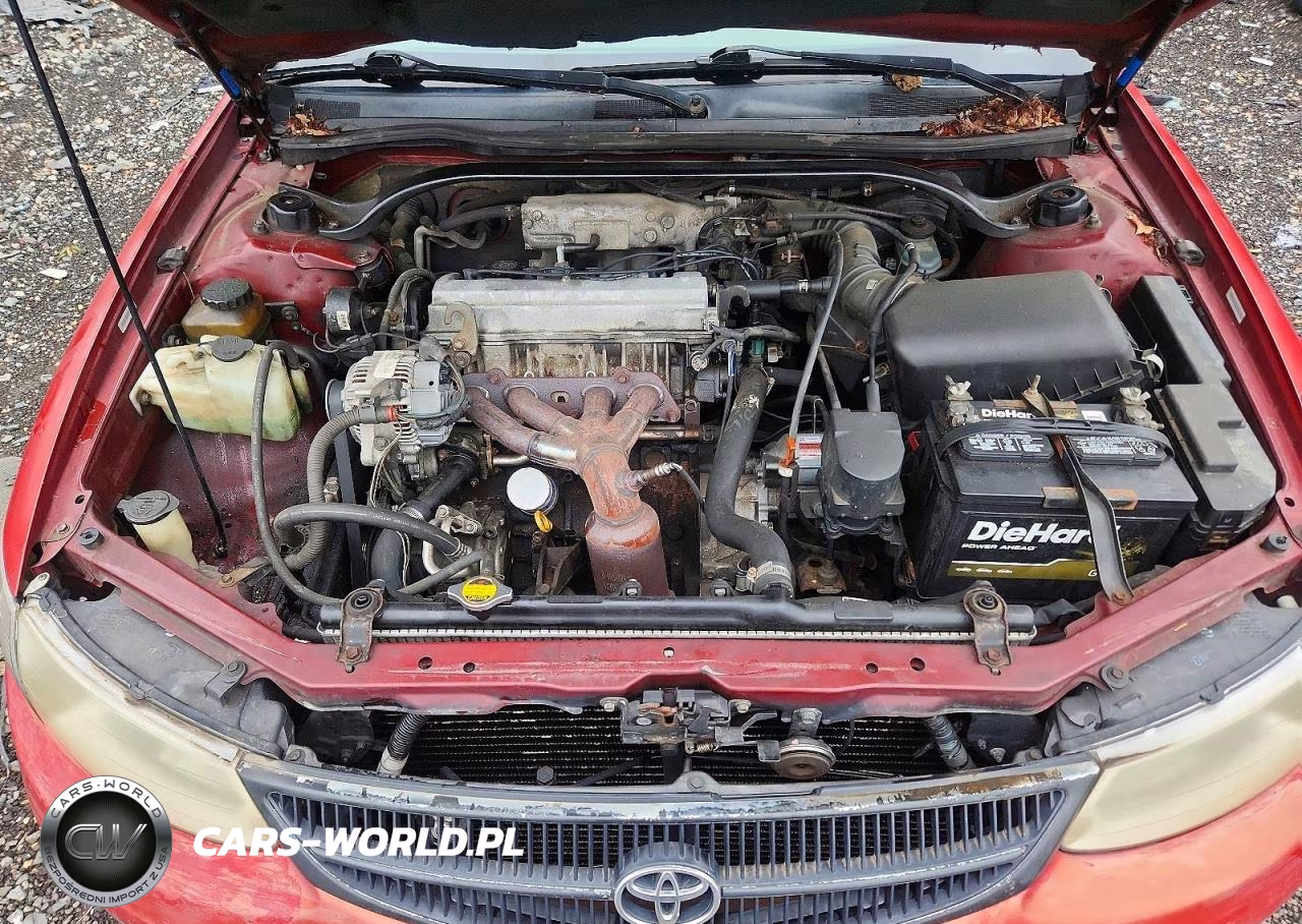 2000 Toyota Camry Solara Se VIN:2T1CG22P9YC262826 - 11
