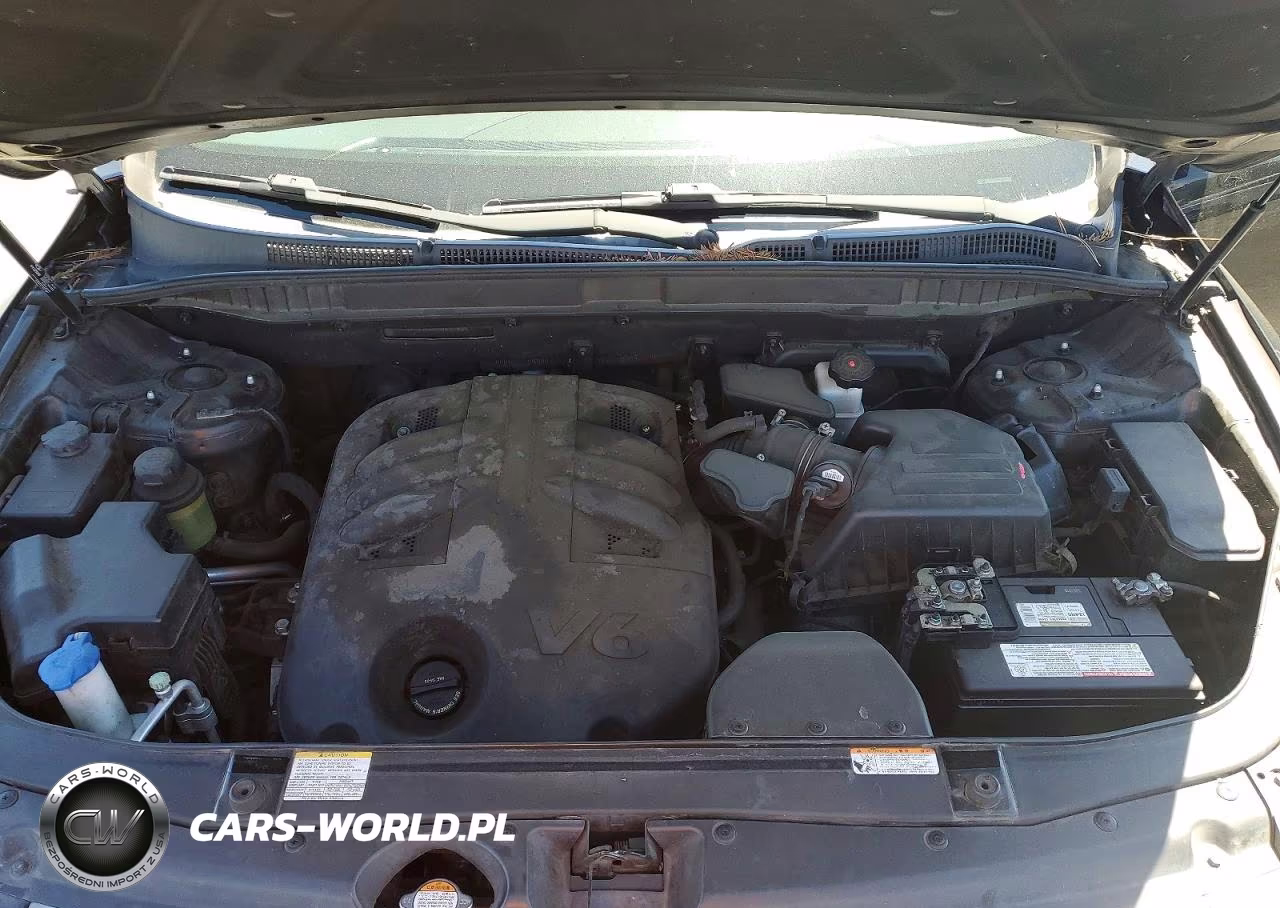 2010 Hyundai Veracruz Limited VIN:KM8NU4CC9AU137855 - 11