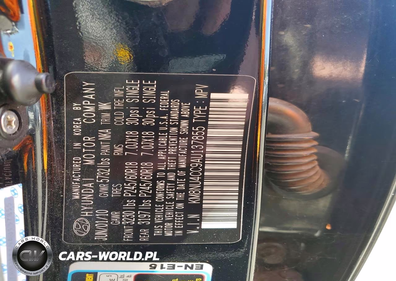 2010 Hyundai Veracruz Limited VIN:KM8NU4CC9AU137855 - 12