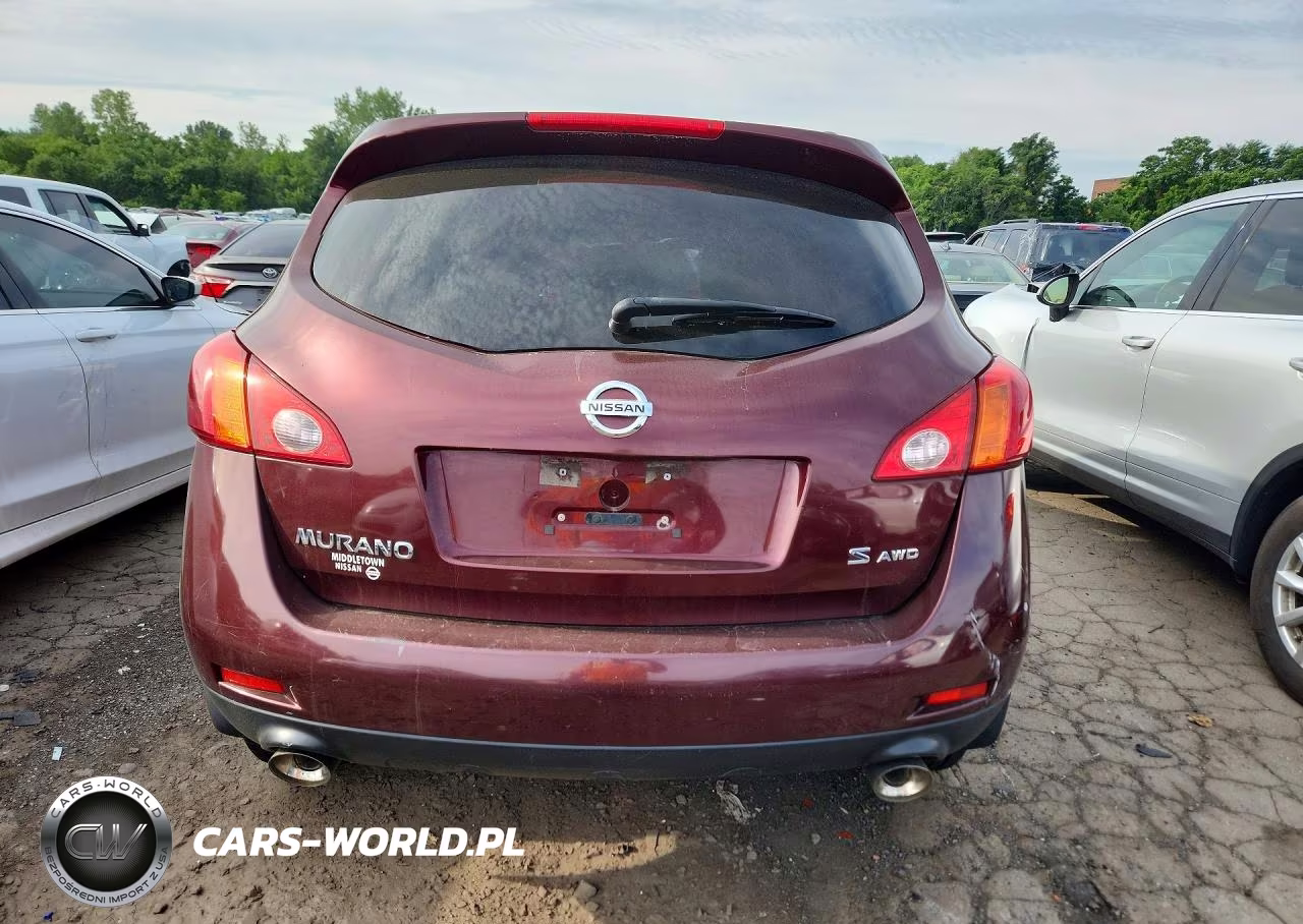 2009 Nissan Murano S-Sl-Le VIN:JN8AZ18W69W107979 - 6